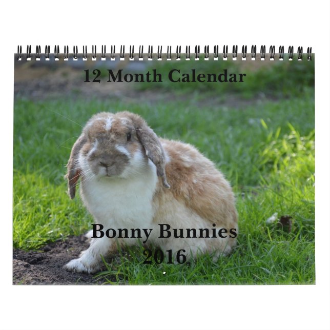 Bonny Bunnies Calendrier des 12 mois 2016 (Protection)