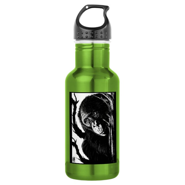 Bonobo Skyward Bottle (Front)