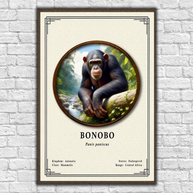 Bonobo Zoology Series Poster (Creator Uploaded)
