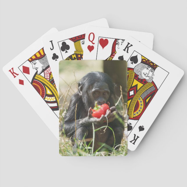 Bonobo's Picnic Playing Cards (Back)