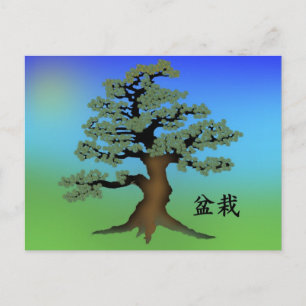 Bonsai 08 postcard