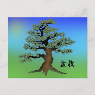 Bonsai 08 postcard