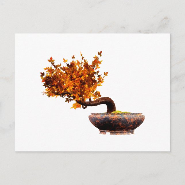 Bonsai 2 postcard (Front)