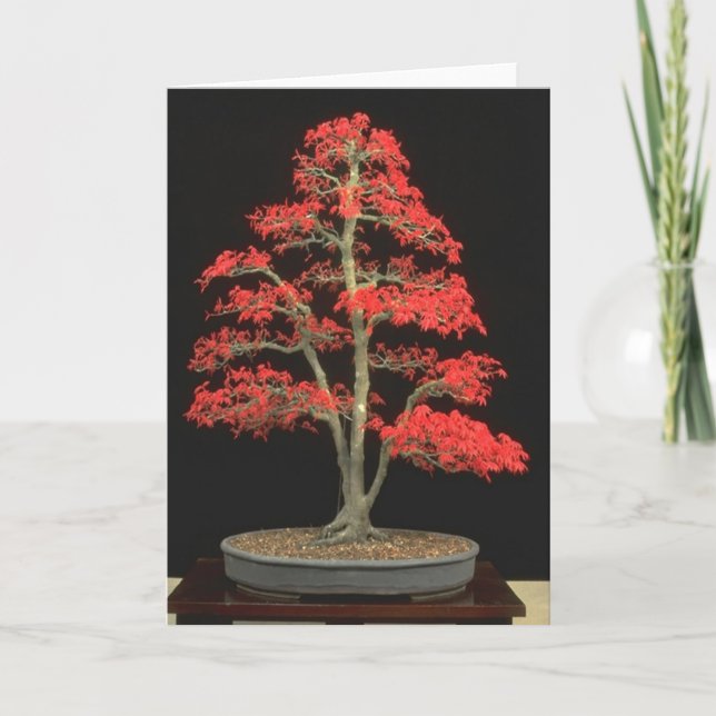 Bonsai Blank Card (Front)