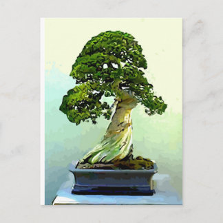 Bonsai Cypress Tree Postcard