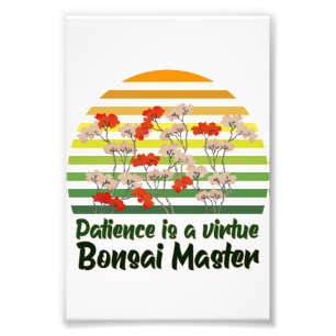 Bonsai Garden Master Retro Sunset Gardener Art Photo Print