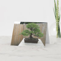 Bonsai Mugo Pine Carte de remerciements