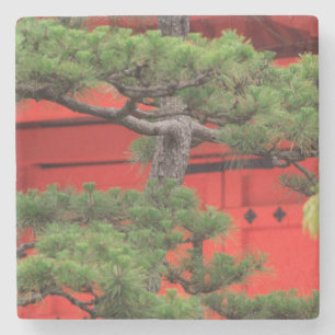 Bonsai Pine Tree Stone Coaster