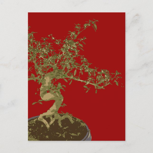 Bonsai Postcard (Front)