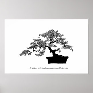 Bonsai Poster with text