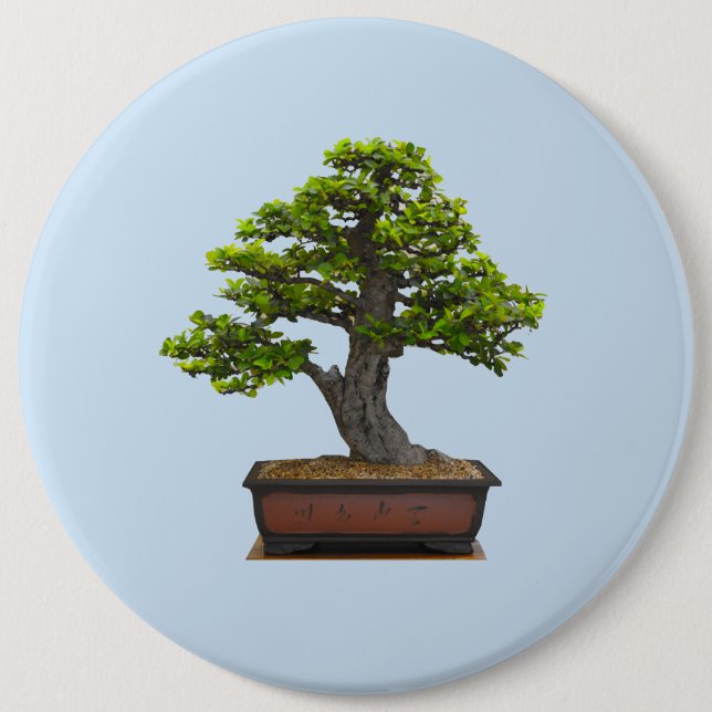 bonsai tree 6 inch round button (Front)