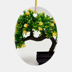 Bonsai tree ceramic ornament