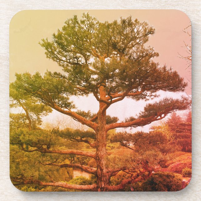 Bonsai Tree Coaster (Front)