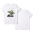 Bonsai Tree, Japan Art 