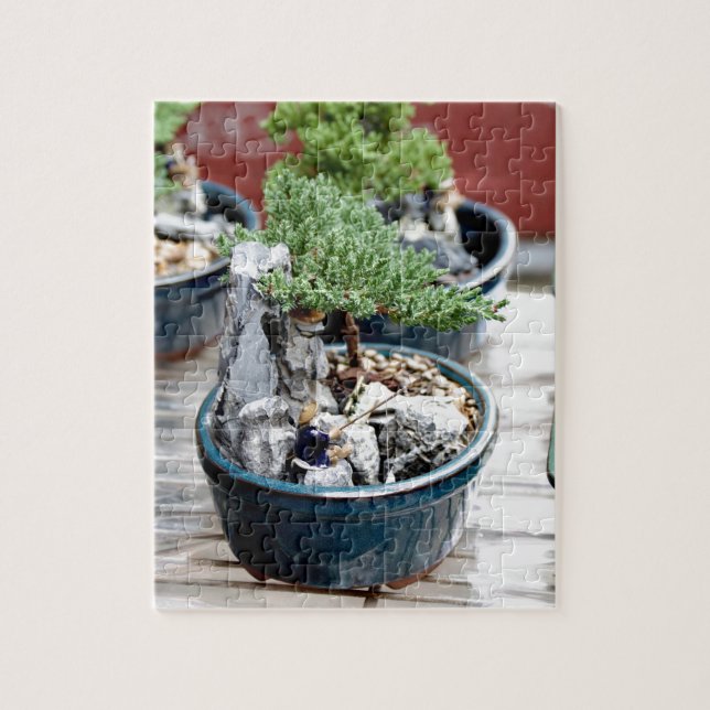 Bonsai Tree Jigsaw Puzzle (Vertical)