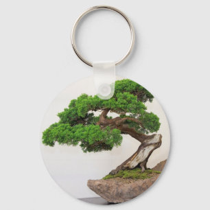 Bonsai tree- natural keychain