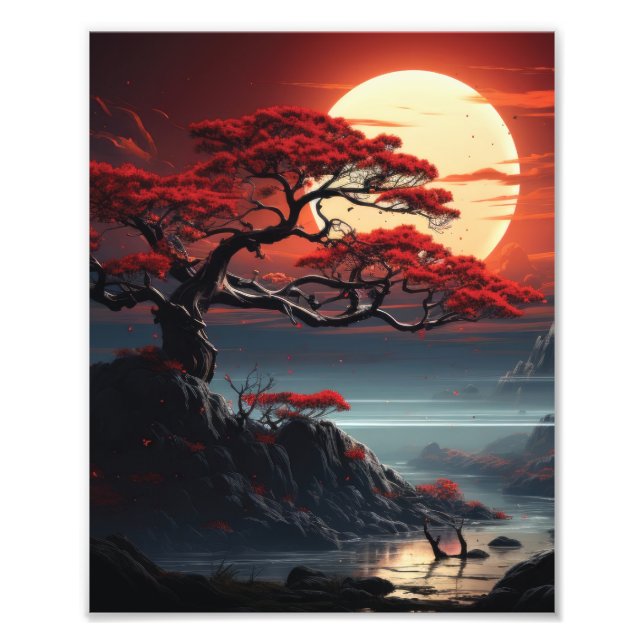 Bonsai Tree  Photo Print (Front)