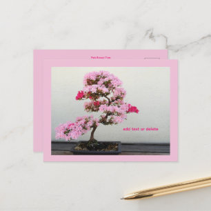 Bonsai Tree Postcard