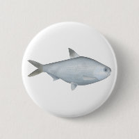 Bony Bream