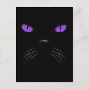 Boo - Amethyst Postcard