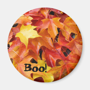Boo! autumn leaves magnets Orange Yellow Leaves