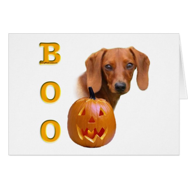 Boo Dachshund (lisse) (Devant horizontal)