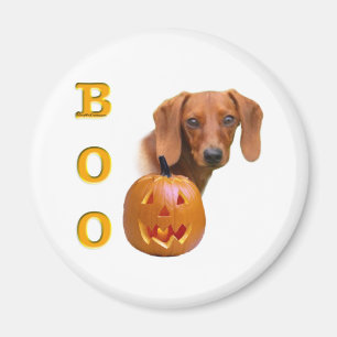 Boo Dachshund lisse - Magnet