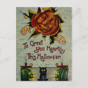 Boo! Jack O Lantern Pumpkin Black Cat Postcard