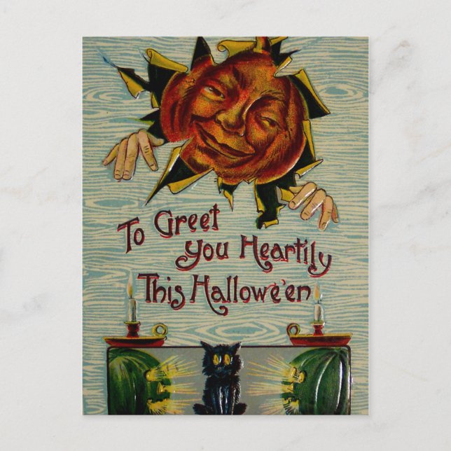 Boo! Jack O Lantern Pumpkin Black Cat Postcard (Front)