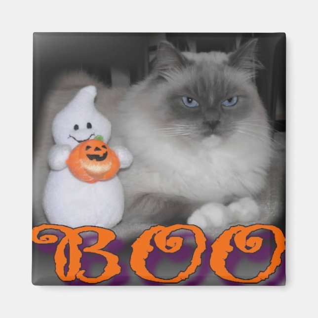 Boo Magnet (Front)