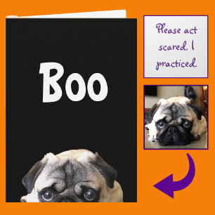 Boo! Peeking Pug Halloween Card