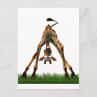 Boo! Says Olympia Giraffe. Postcard