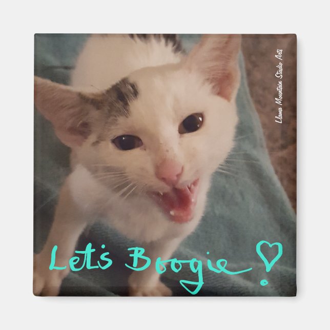 Boogie ! aimant chaton (Devant)