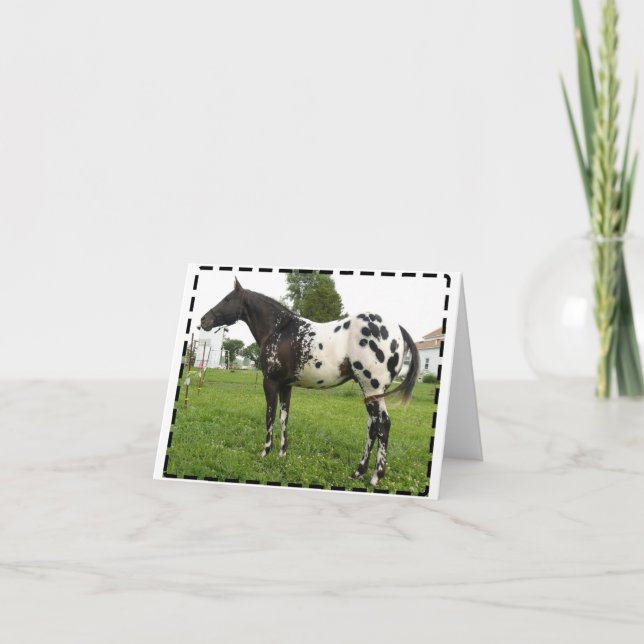 BOOGIE BEE JET NOTE CARDS (Front)