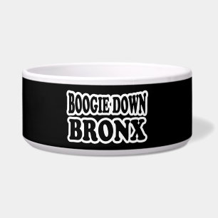Boogie Down Bronx, NYC