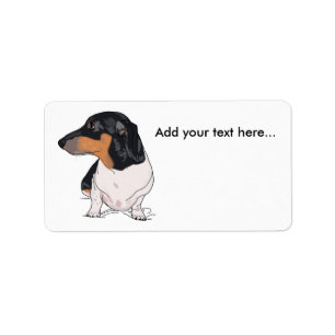 Boogie les étiquettes de adresse de dachshund 2
