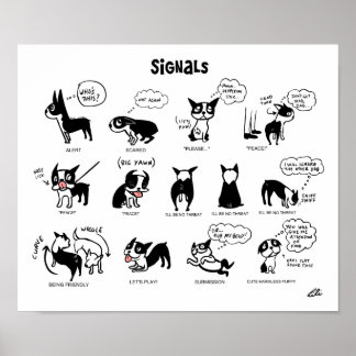 Boogie Signals by Lili Chin Poster