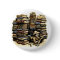 Book Archaeologist Button