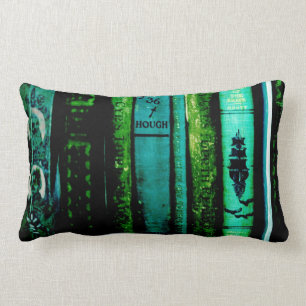Book Lover's Pillow