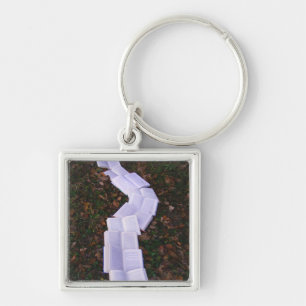 Book Path Reading Reader Keychain