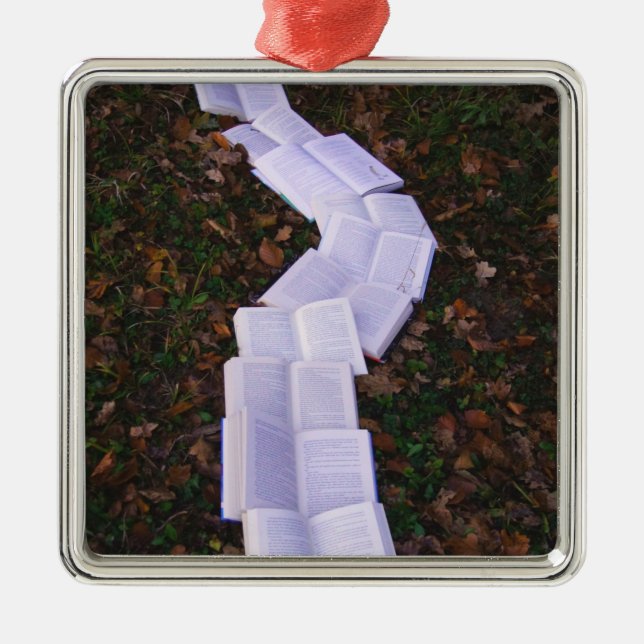 Book Path Reading Reader Metal Ornament (Front)