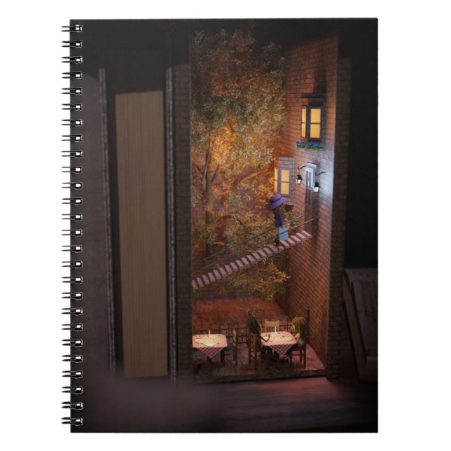 Book shelf insert - stairs to home (Front)