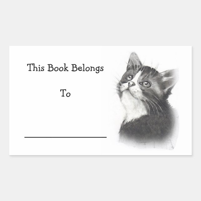Book Stickers: Pencil Drawing of Kitten Sticker (Front)