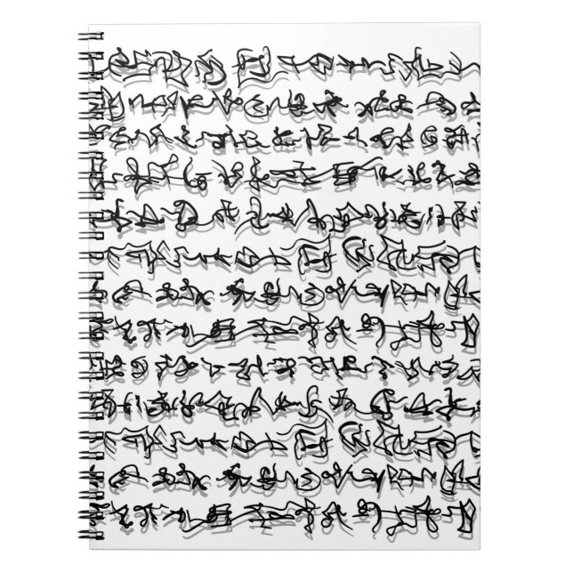 Book with ancient writing (Front)