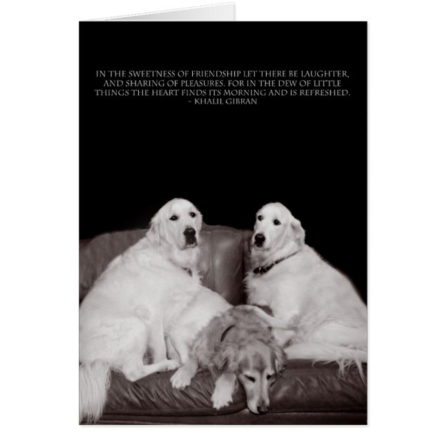 Bookends Gibran Poster (Front)