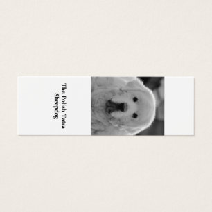 Bookmark of Polish Tatra Sheepdog Puppy