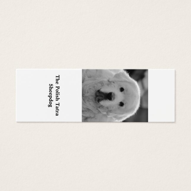 Bookmark of Polish Tatra Sheepdog Puppy (Front)