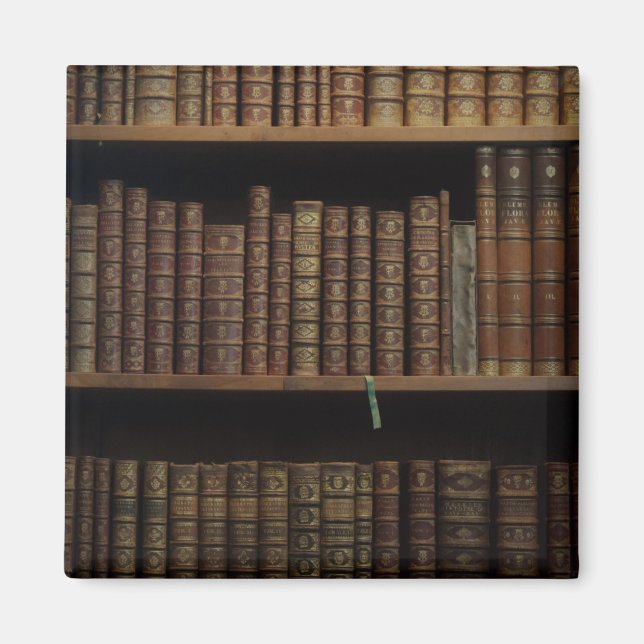 books covers bookcase old library magnet (Front)