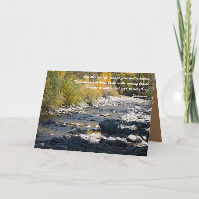 Books in Running Brooks Thank You Card (Front)