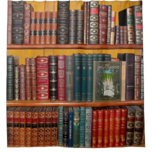 books library bookshelf bookshop